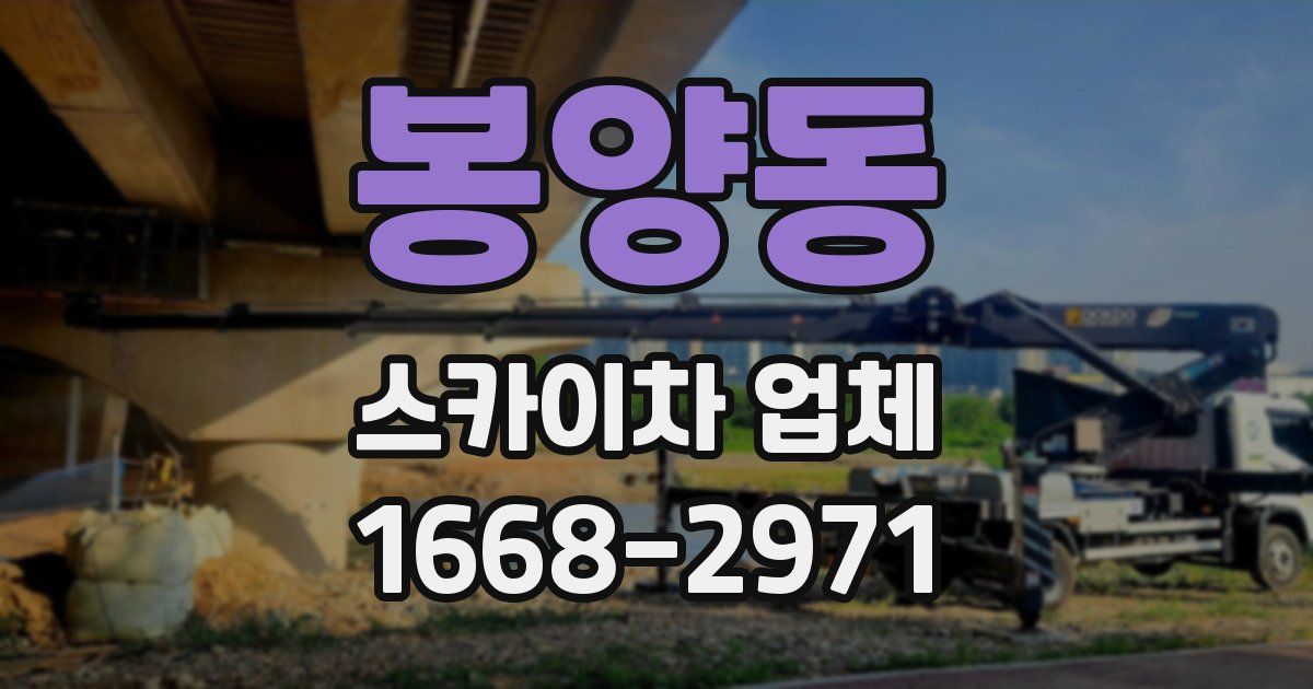 봉양동 스카이차 업체