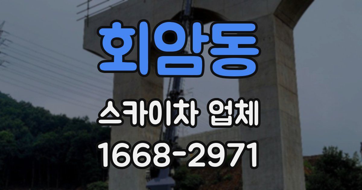 회암동 스카이차 업체