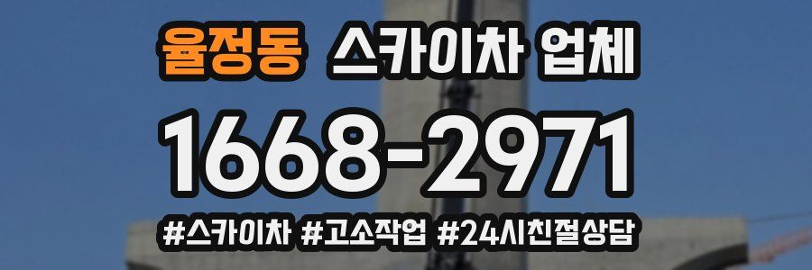 율정동 스카이차 업체