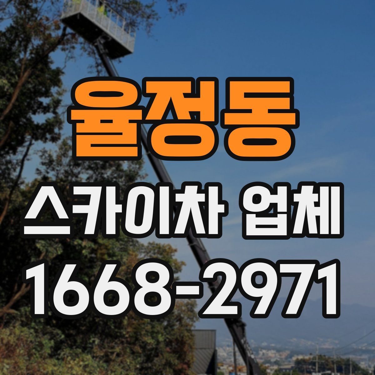 율정동 스카이차 업체