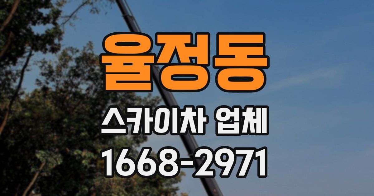 율정동 스카이차 업체