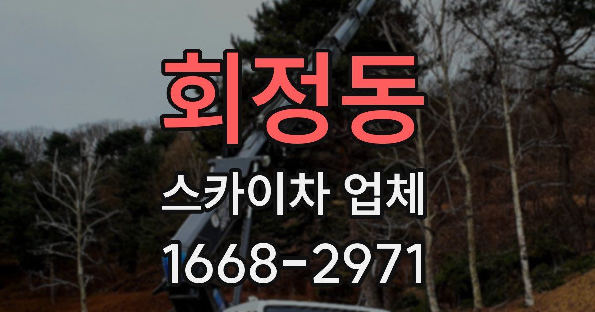 회정동 스카이차 업체