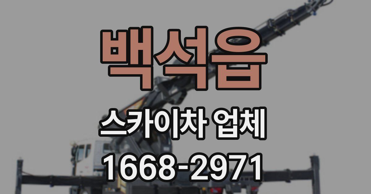 백석읍 스카이차 업체
