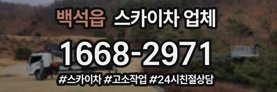 백석읍 스카이차 업체