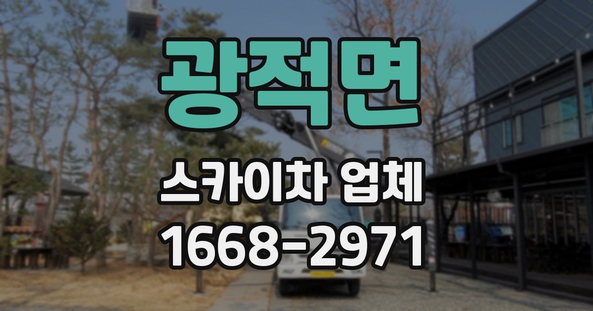 광적면 스카이차 업체