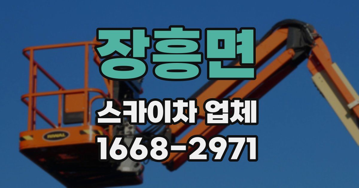 장흥면 스카이차 업체