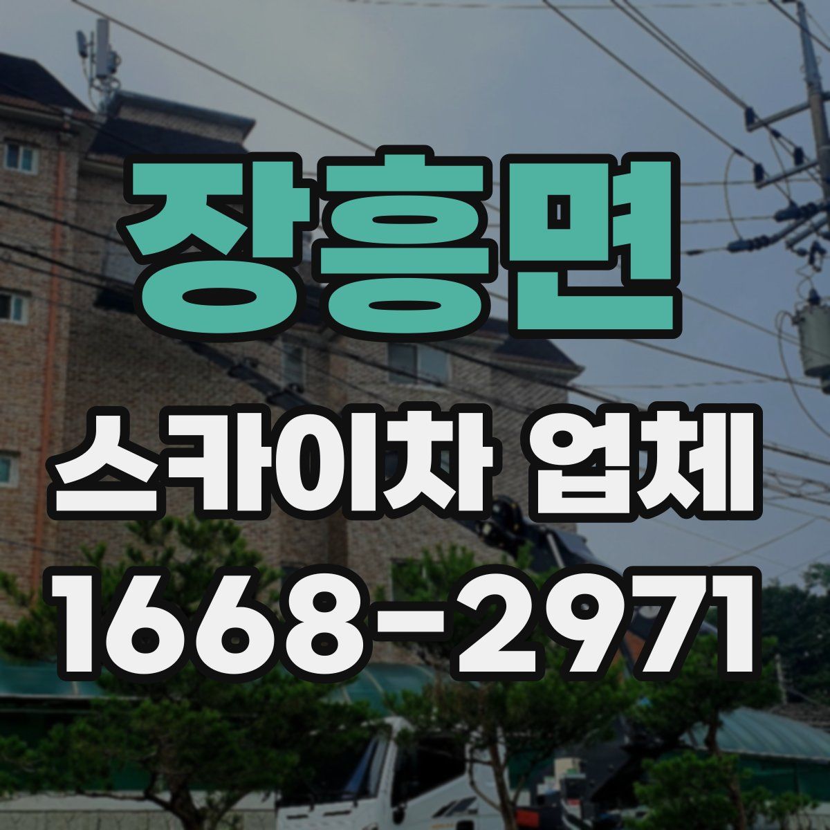 장흥면 스카이차 업체
