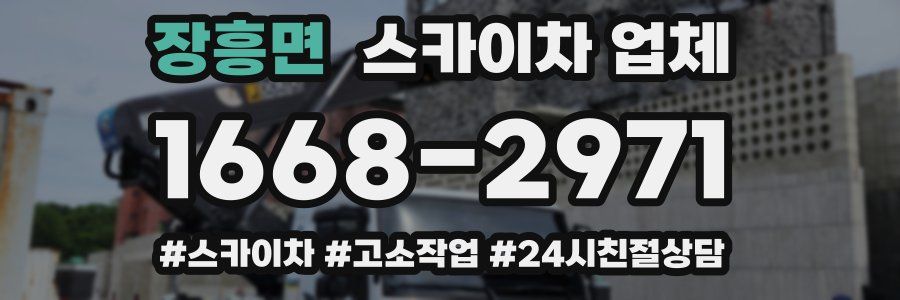 장흥면 스카이차 업체