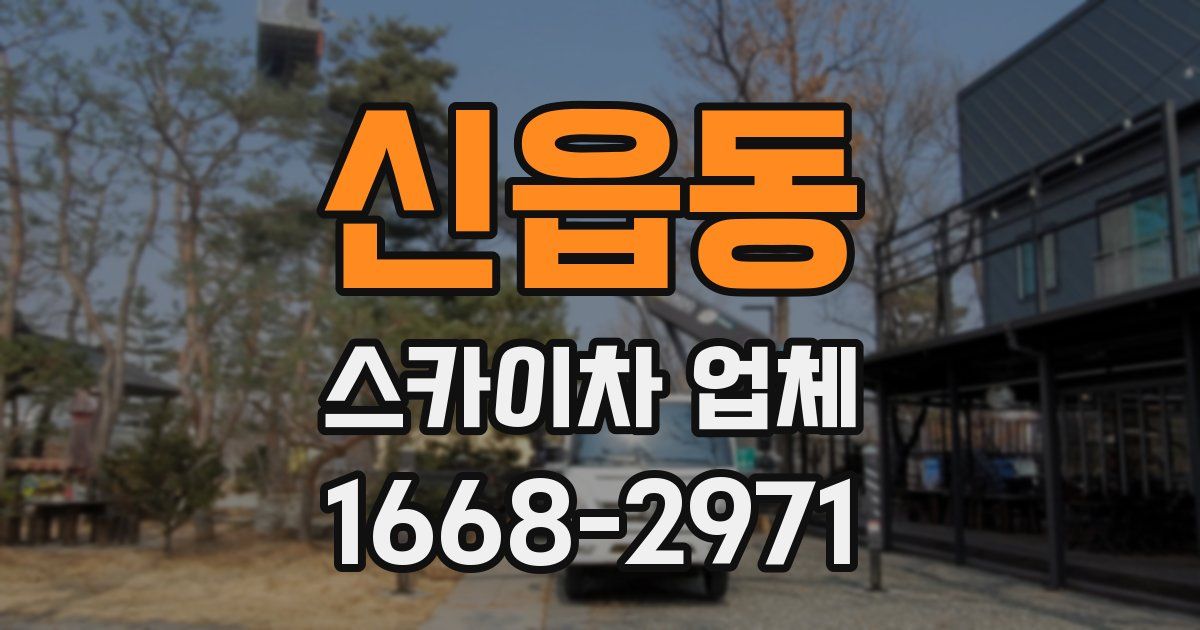 신읍동 스카이차 업체