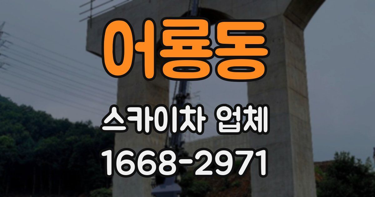 어룡동 스카이차 업체