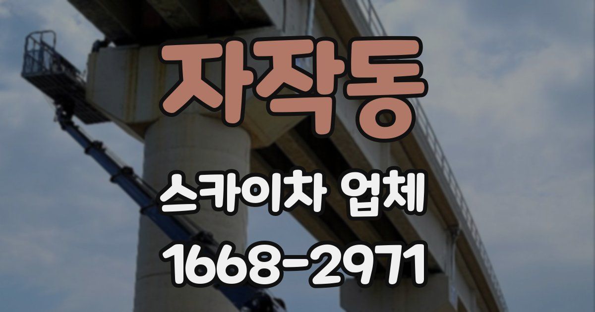자작동 스카이차 업체