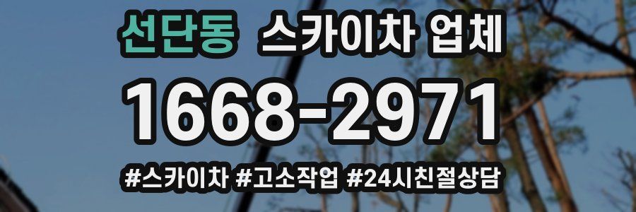 선단동 스카이차 업체