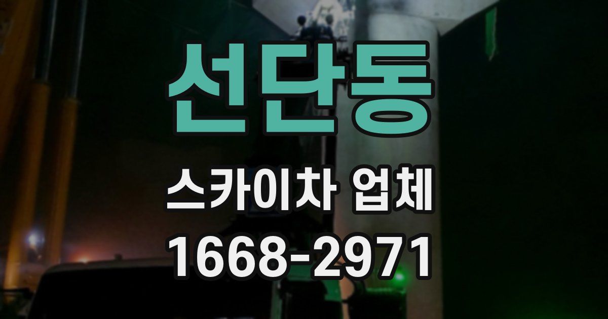 선단동 스카이차 업체