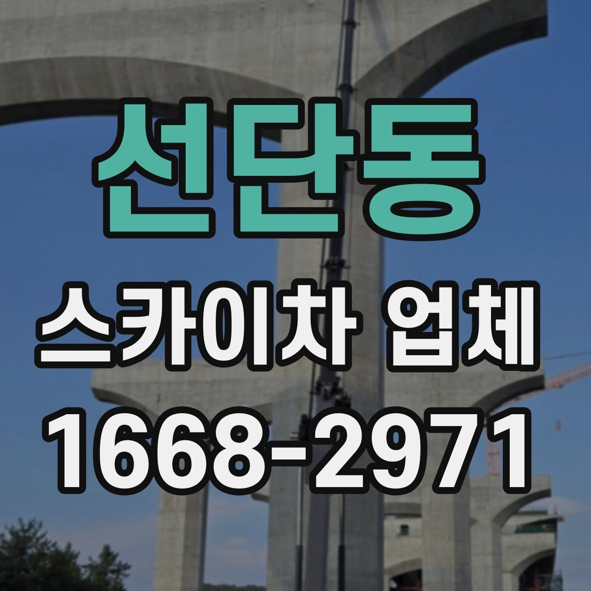 선단동 스카이차 업체