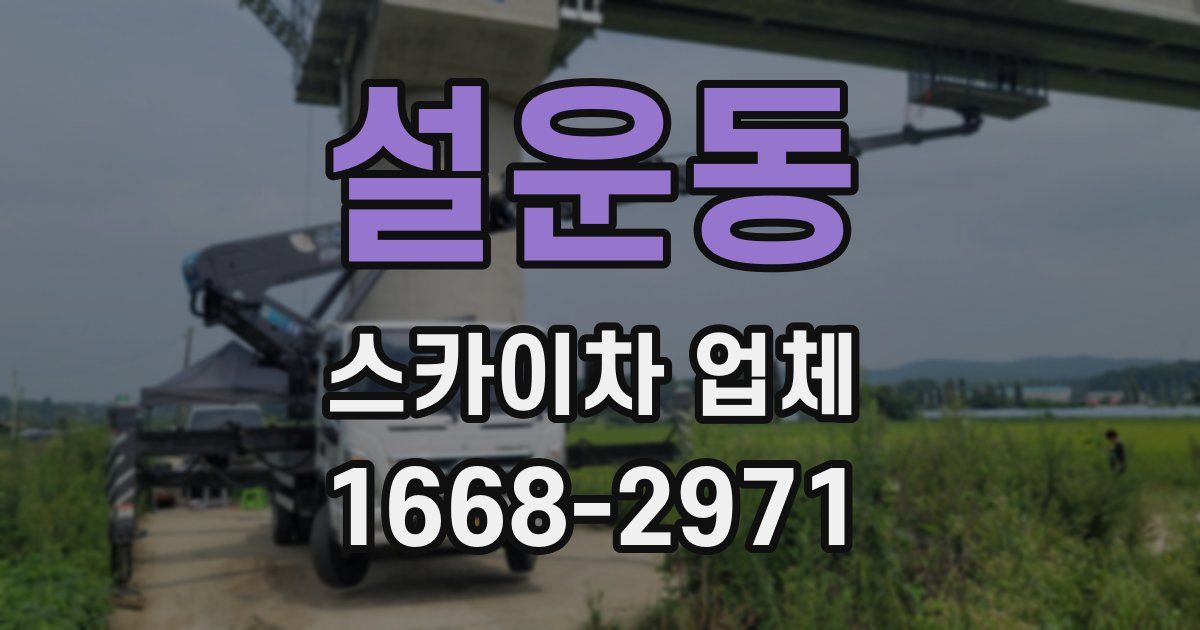 설운동 스카이차 업체