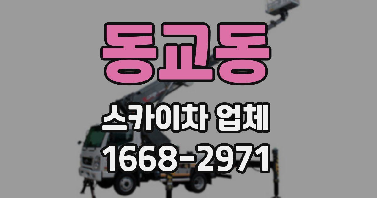 동교동 스카이차 업체