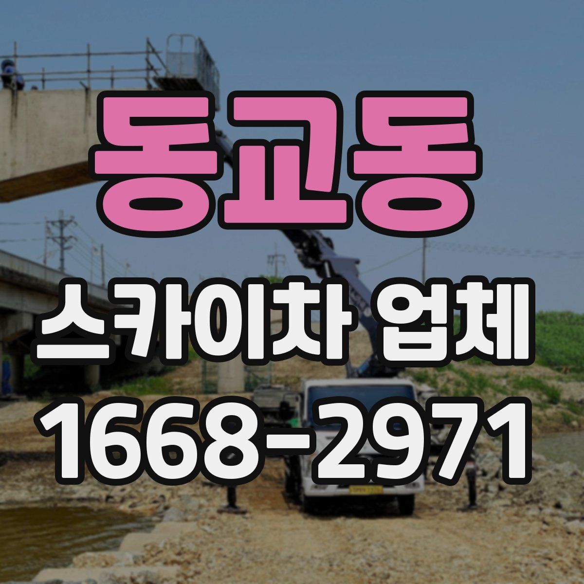 동교동 스카이차 업체