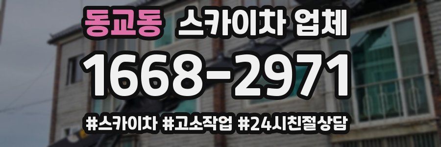 동교동 스카이차 업체