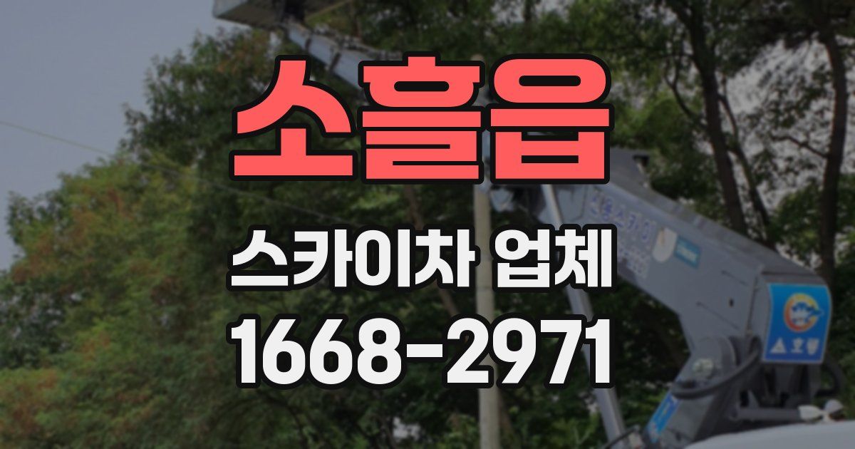 소흘읍 스카이차 업체