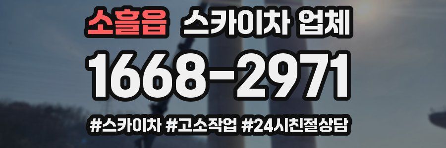 소흘읍 스카이차 업체