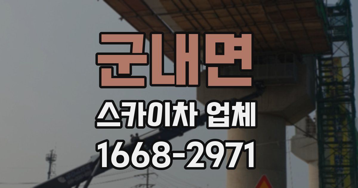 군내면 스카이차 업체
