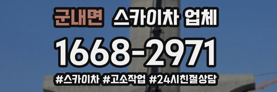 군내면 스카이차 업체