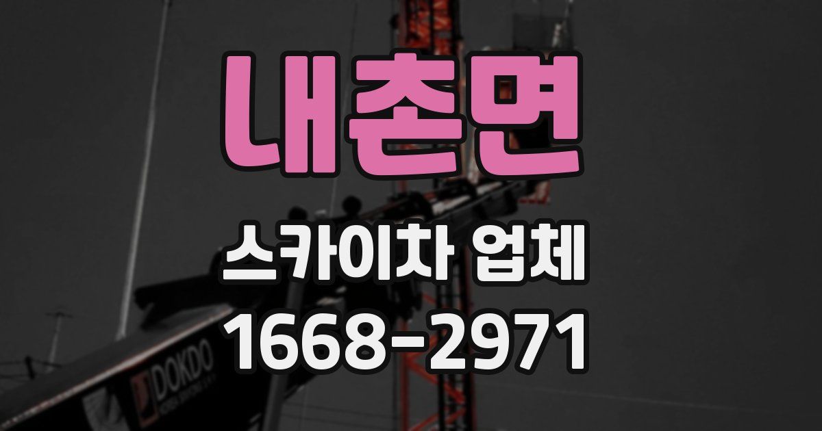 내촌면 스카이차 업체