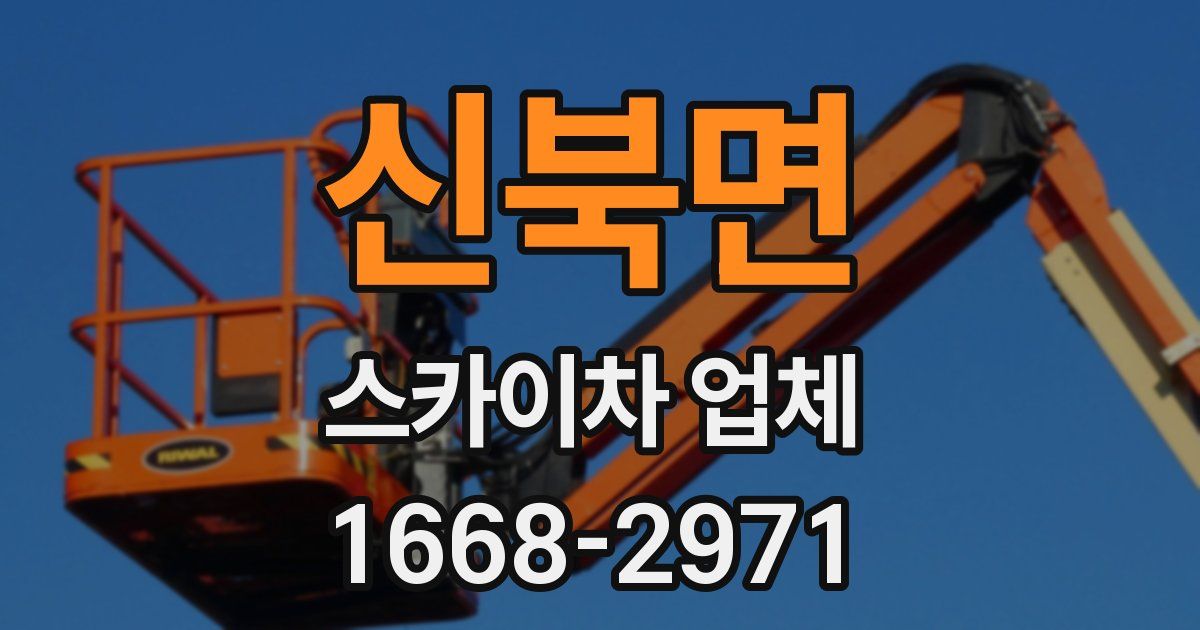 신북면 스카이차 업체