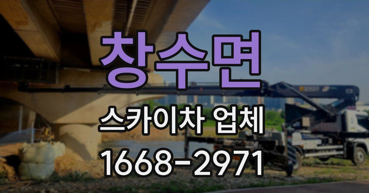 창수면 스카이차 업체