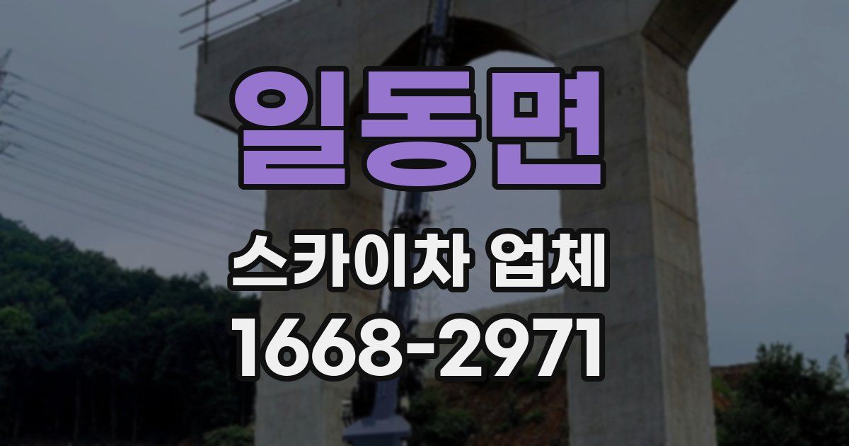 일동면 스카이차 업체