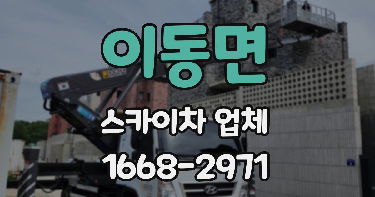이동면 스카이차 업체