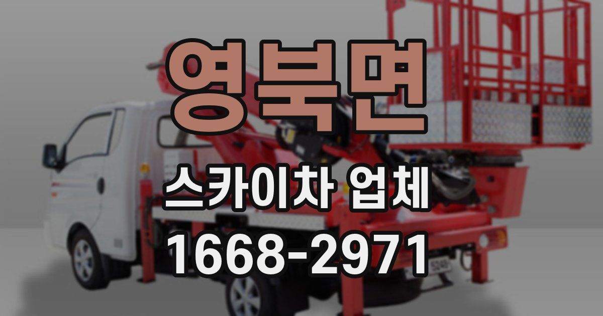 영북면 스카이차 업체