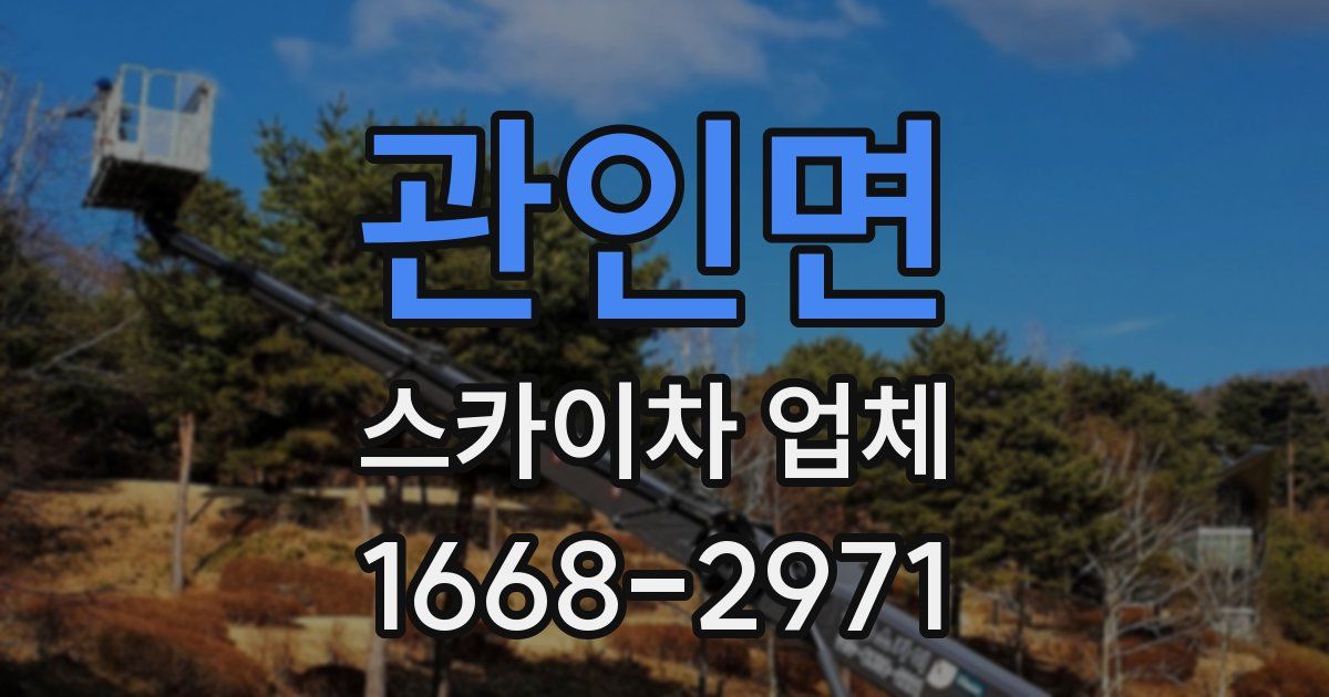 관인면 스카이차 업체