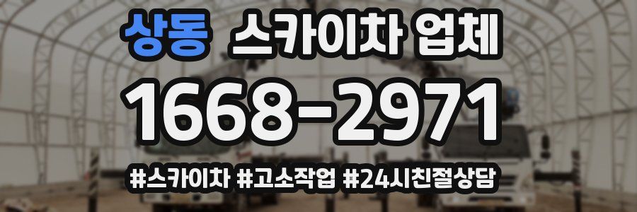 상동 스카이차 업체