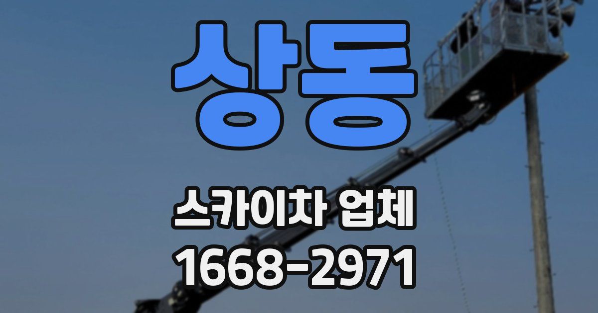 상동 스카이차 업체