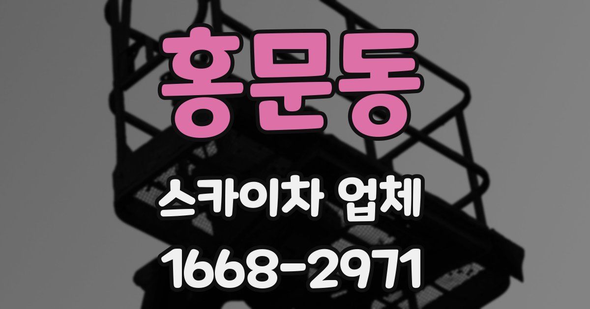 홍문동 스카이차 업체