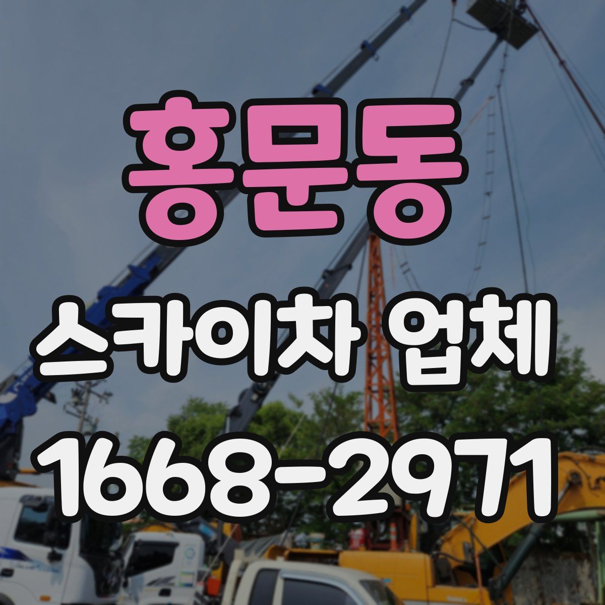 홍문동 스카이차 업체