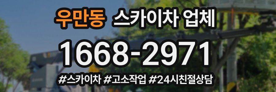 우만동 스카이차 업체