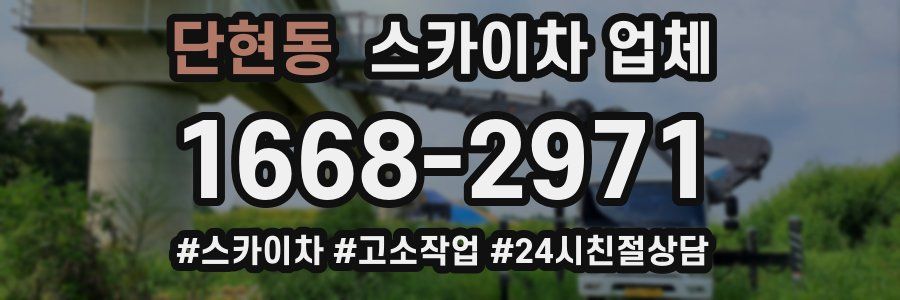단현동 스카이차 업체