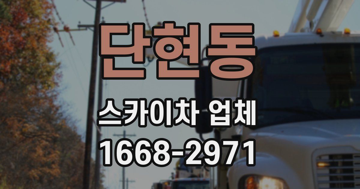 단현동 스카이차 업체