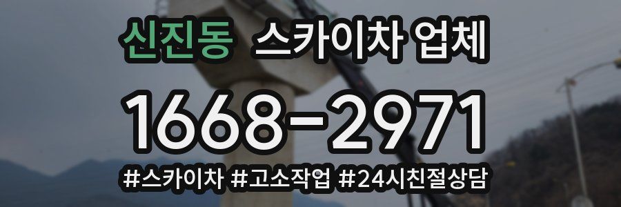 신진동 스카이차 업체