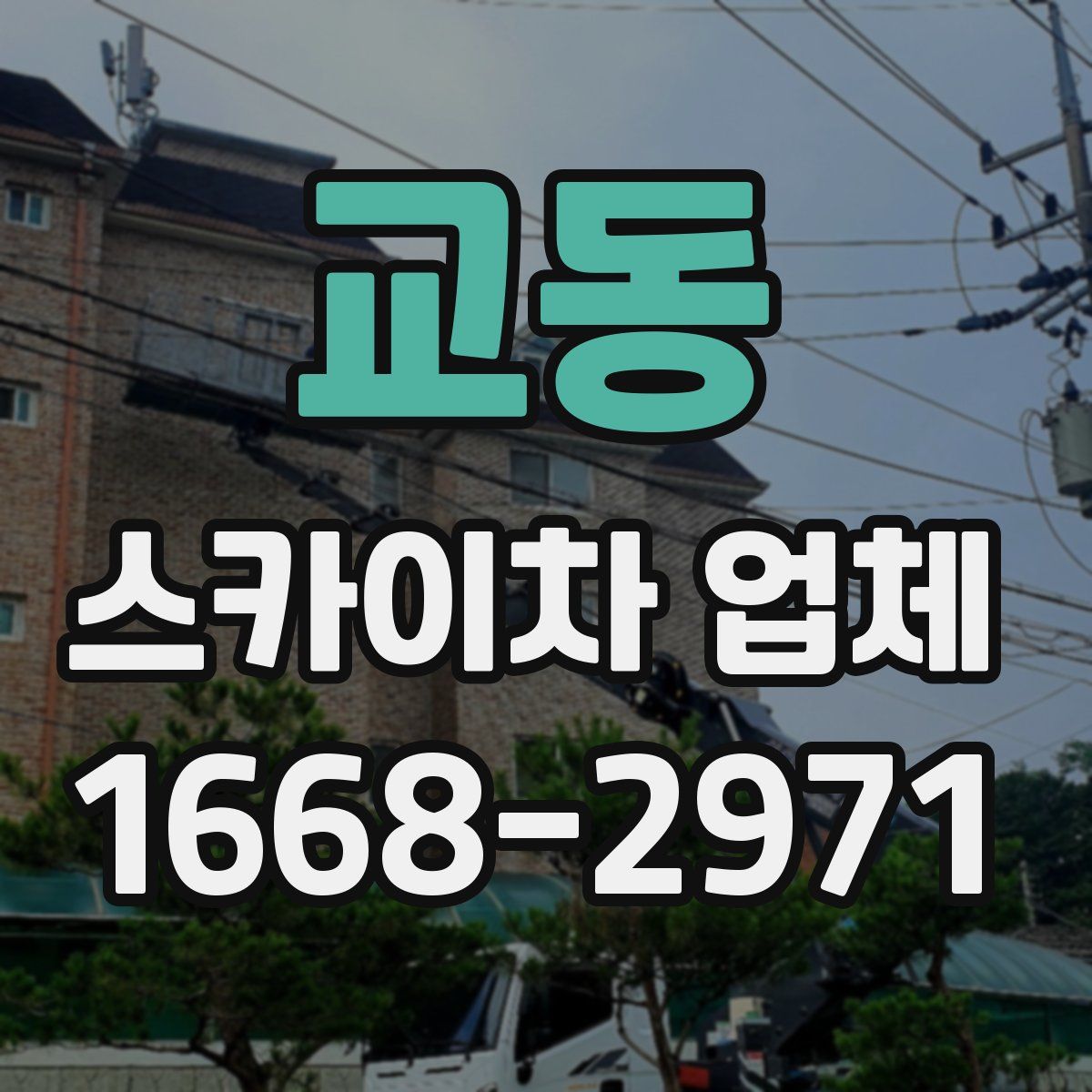 교동 스카이차 업체