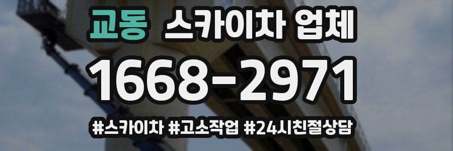 교동 스카이차 업체
