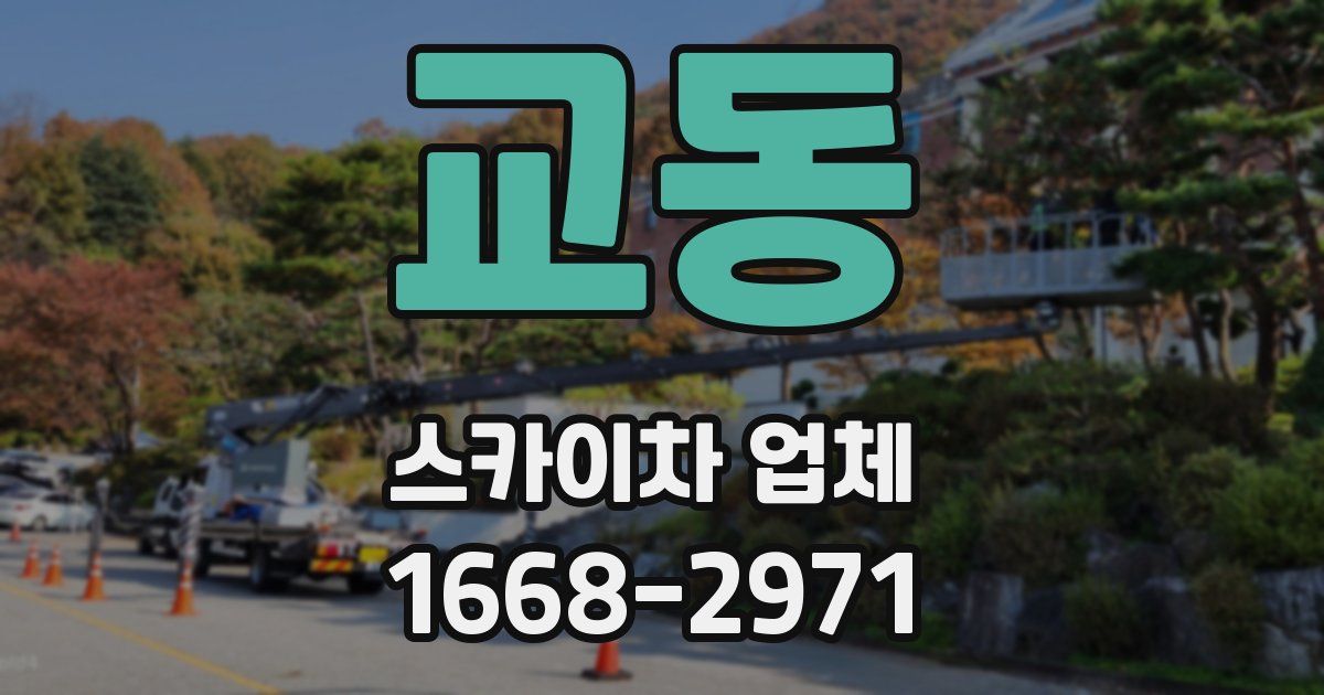 교동 스카이차 업체