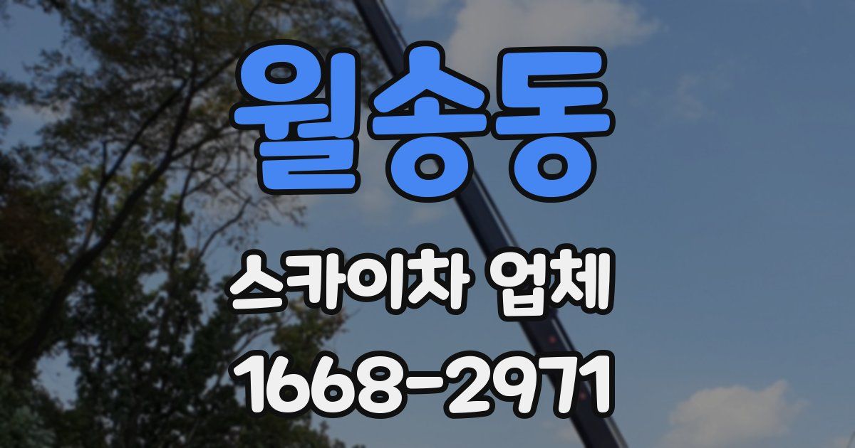 월송동 스카이차 업체