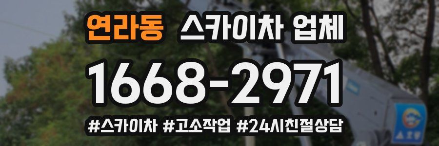연라동 스카이차 업체
