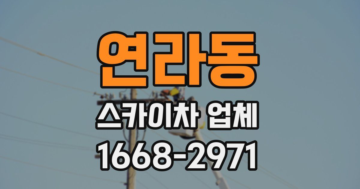 연라동 스카이차 업체