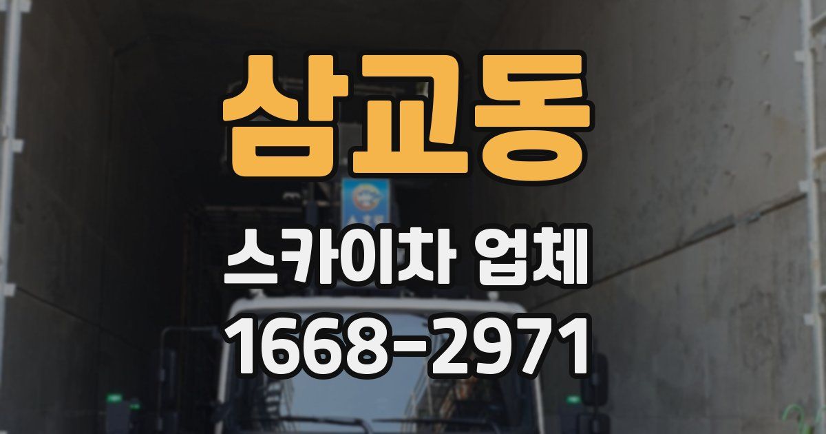 삼교동 스카이차 업체