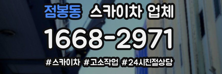 점봉동 스카이차 업체