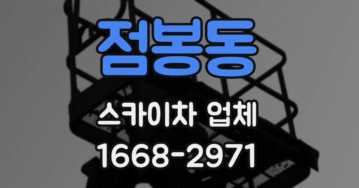 점봉동 스카이차 업체